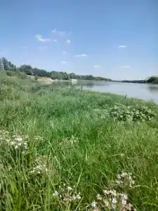 Сомовье Логово - 35
