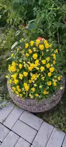 в деревне - 18