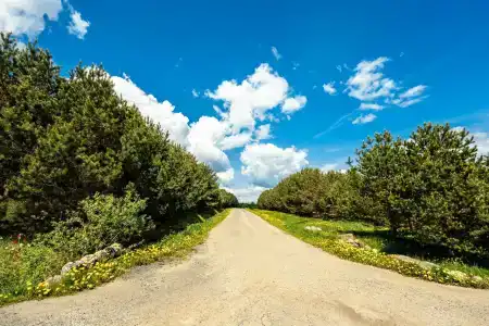 Королевская охота - 34