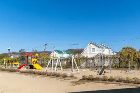 Звезда моря - 49