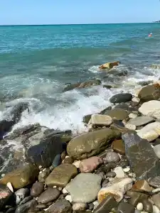 Фламинго - 24