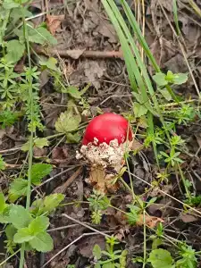 Любашин хуторок - 11
