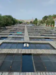 Главрыба - 4