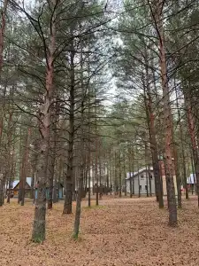 Связист - 12