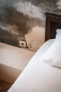 Корюшка Пошла - 12