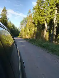 Мантиансаари - 40