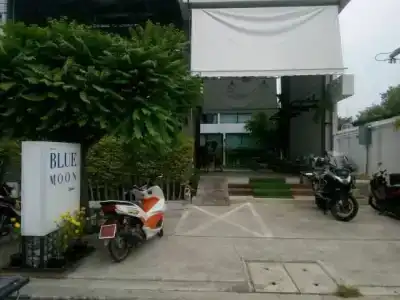 Bluemoon - 0