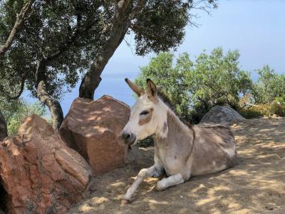 Arbatax Park Resort - Dune - 8