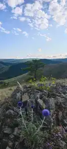 Нурали - 34