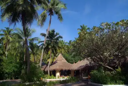 Biyadhoo Island Resort - 29