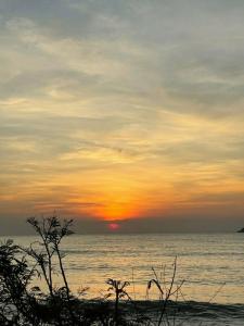 Pearl By The Sea - 3