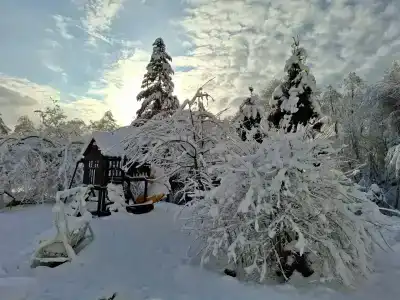 Лебедево озеро - 1