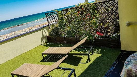 Cavalluccio Marino - 24