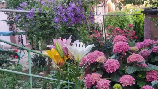 Гостевой дом у моря - 3