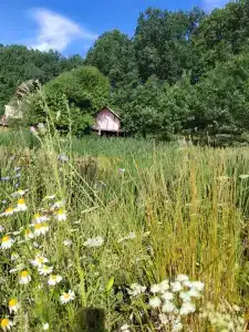 Просторы - 20