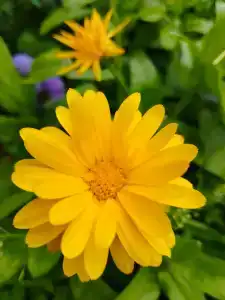 Санаторий Солнечный - 94