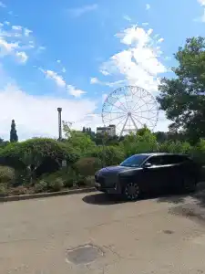 Янтарь - 41