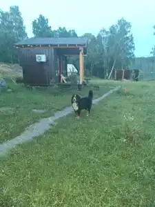 Форт Верный - 43