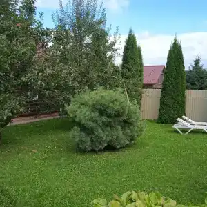 Династия - 50