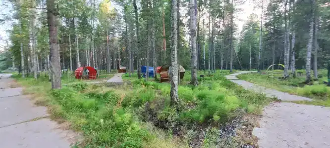 Парус - 43
