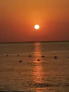 İstanbul Beach - 32