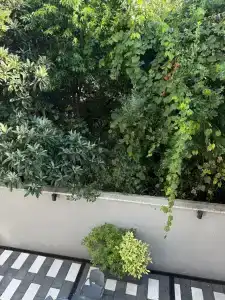 Мармелад - 41