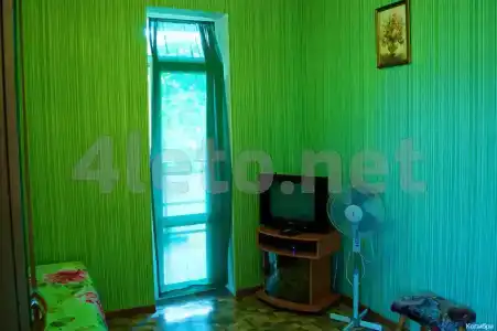 Колибри - 18