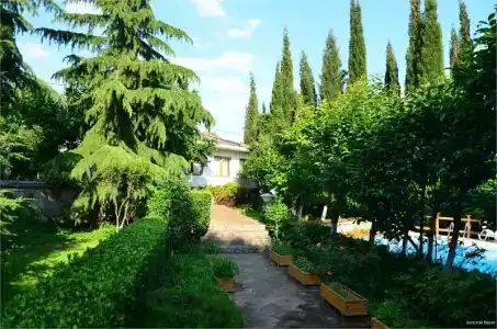 Золотой берег - 17