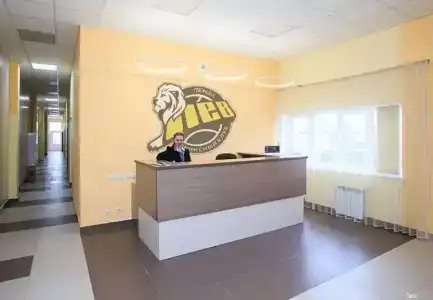 Лев - 6