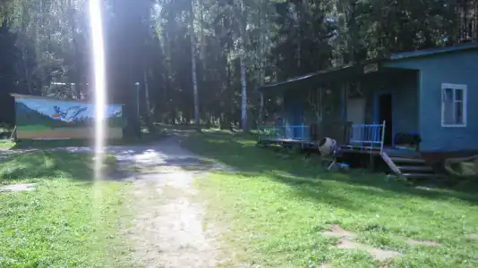 Лесной Родник - 16