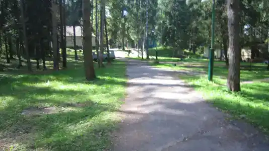 Лесной Родник - 20