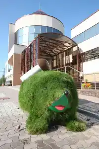 Кедровый Лог - 5