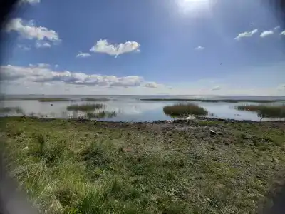 Кунашак - 14
