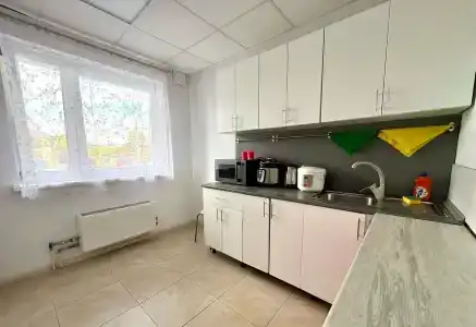 Нижний Лайк - 2