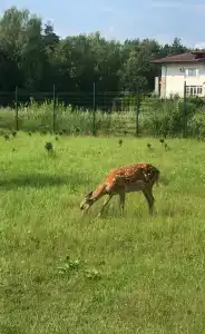 Спальный корпус Коверши - 29