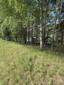 46-й километр - 19