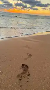 Welcome Голубой Залив - 25