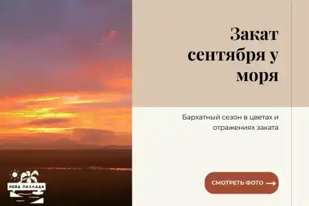 Рейд Паллада - 9
