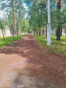 Лесная cказка - 2