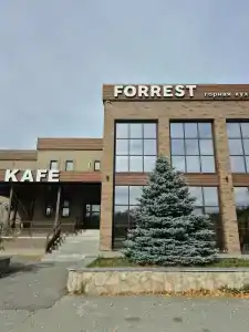 Forrest - 15