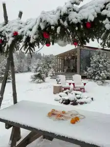 Дача в соснах - 1