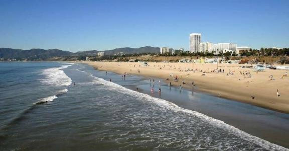 Royal Palace Westwood - 4