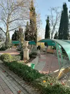 Пограничник - 49