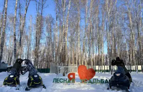 Лесная Усадьба - 25