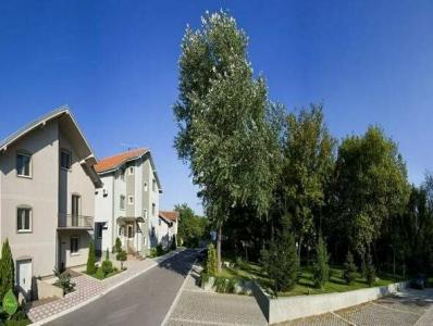 Villa Forest - 4