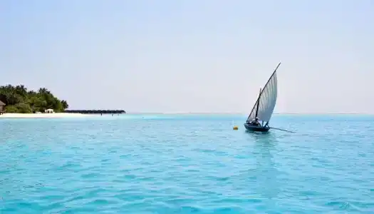 Bibee Maldives - 44