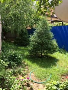 Комфорт - 36