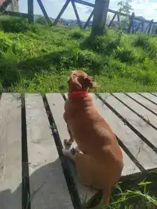 Териберка Тур - 87