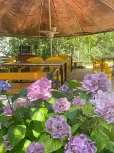 Лето всем - 34