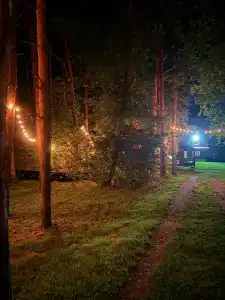 Лесная семья - 2
